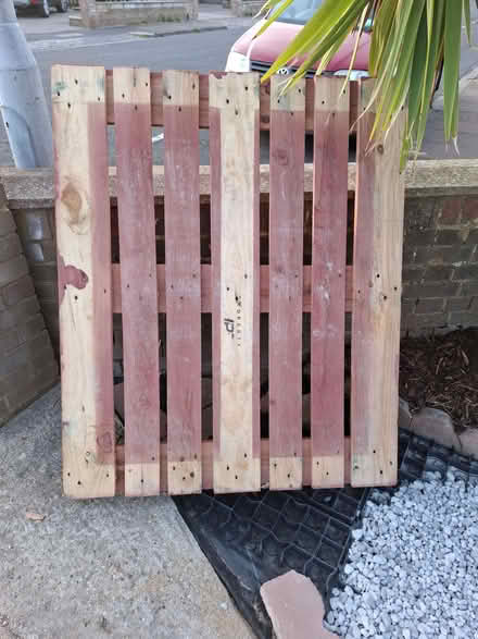 Photo of free 2 strong Pallets (Seaside BN23) #1