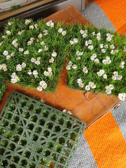 Photo of free 4 Daisy mats (Thornton heath) #2