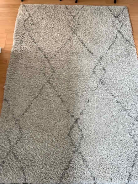 Photo of free Soft Grey Rug (Halesworth, Barons Close) #1