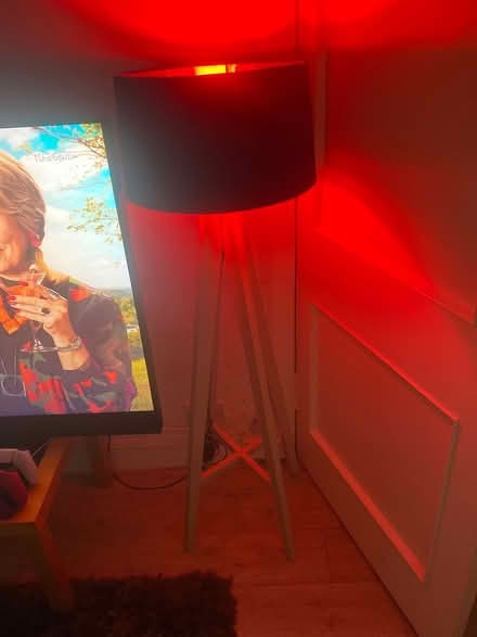 Photo of lampshade (Edinburgh EH11) #1