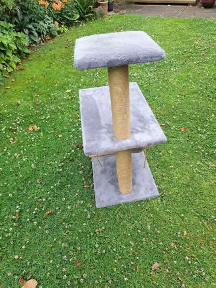 Photo of free Cat tower (Aston fields B60) #2