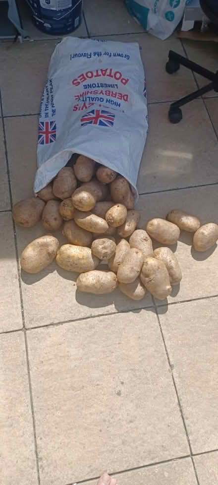 Photo of free Potatoes (Hackenthorpe S2) #1