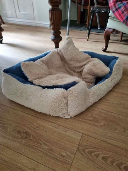 Photo of free Dog bed (Llandrindod LD1) #1