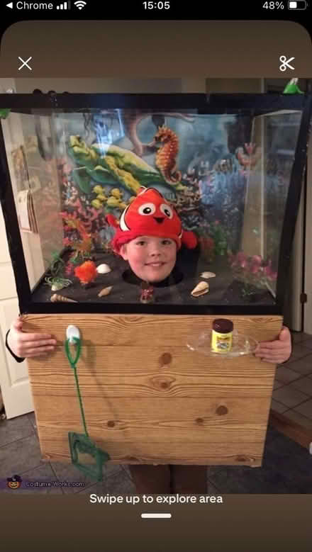 Photo of free Fancy dress - fish tank (Leckhampton GL53) #2