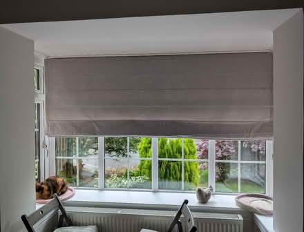 Photo of free Roman blinds (Dumbreck G41) #2