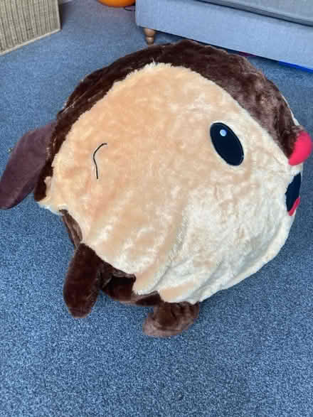 Photo of free Large inflatable toy (Leckhampton GL53) #1