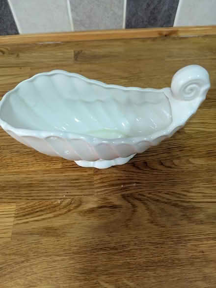 Photo of free Shell ceramic pot (Grangeway area NN10) #2