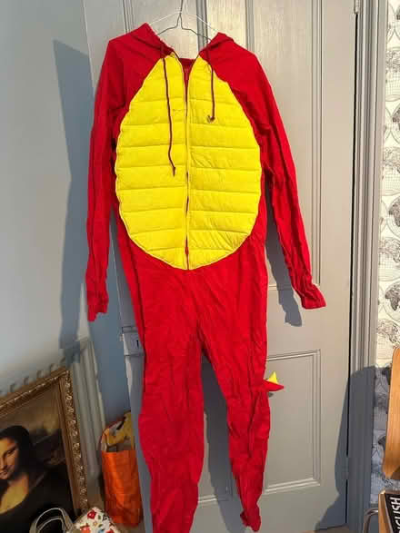 Photo of free Fancy dress clothes & wigs (Bushey Village WD23) #3