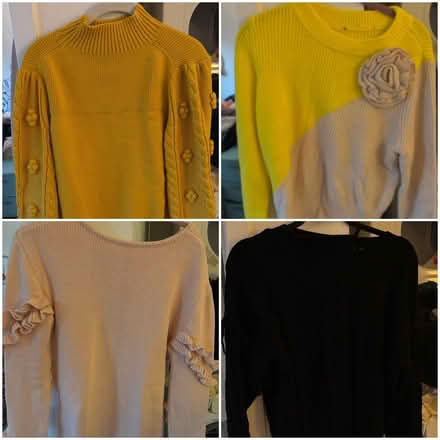 Photo of free Size L Sweater Haul - must take all (River North) #1
