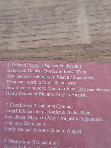 Photo of free Seeds. Poppy & Gypsophila (Pemberton WN5) #2