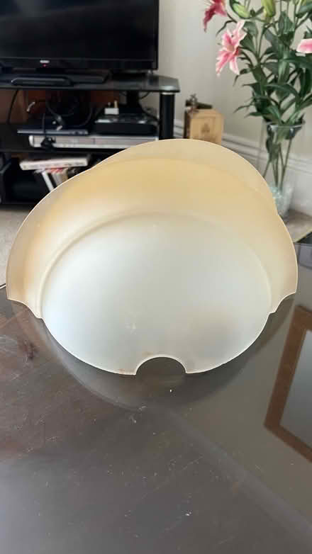 Photo of free Wall Light Shades PAIR (BN3) #2