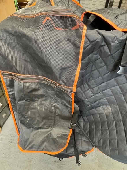 Photo of free Car seat protector waterproof for dogs (Bishopsworth BS13) #2