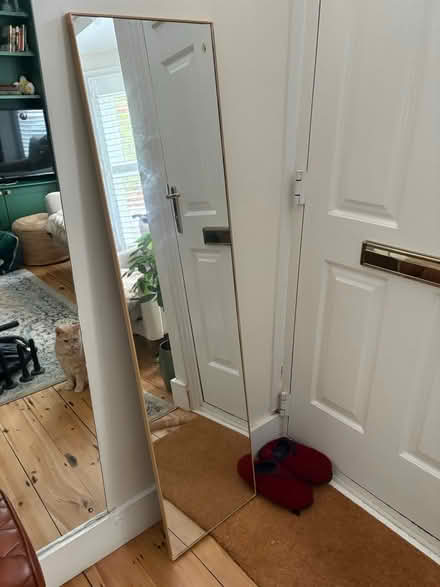 Photo of free Mirror - full length (RG1) #1
