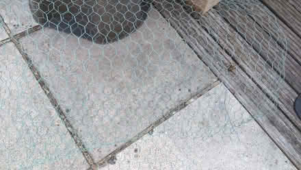 Photo of free Chicken Wire (Stroud) #1