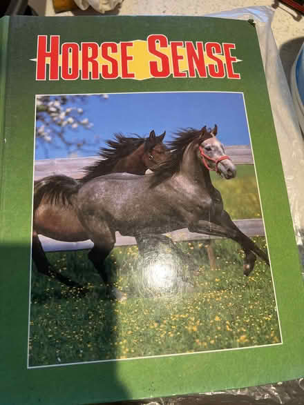 Photo of free Horse Sense magazines (Salhouse NR13) #1