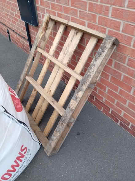 Photo of free Wooden pallet (Derby DE24) #1