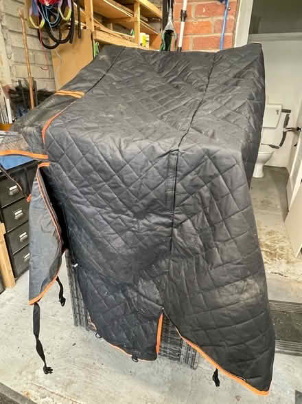 Photo of free Car seat protector waterproof for dogs (Bishopsworth BS13) #3