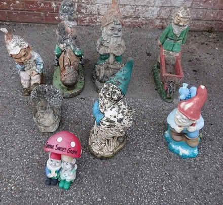 Photo of free Garden Gnomes (Heysham LA3) #1