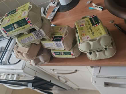 Photo of free Egg box's (HR4) #1