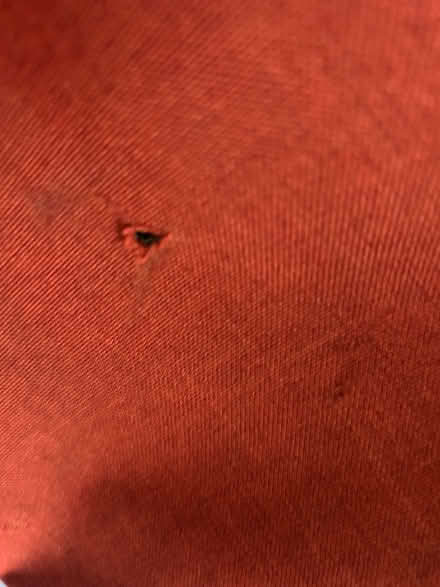 Photo of free Orange,suitcase (Washington DC) #3