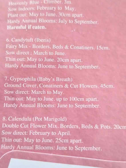 Photo of free Seeds. Poppy & Gypsophila (Pemberton WN5) #3