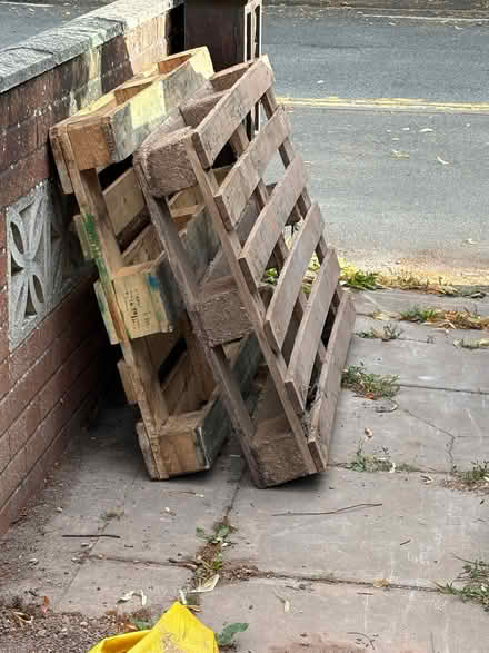 Photo of free Pallets (Hereford HR1) #1