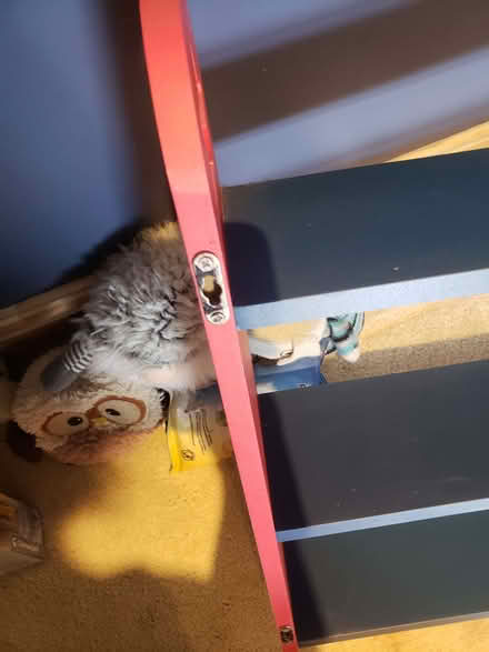 Photo of free Kids shelving (Wandsworth Common SW12) #3