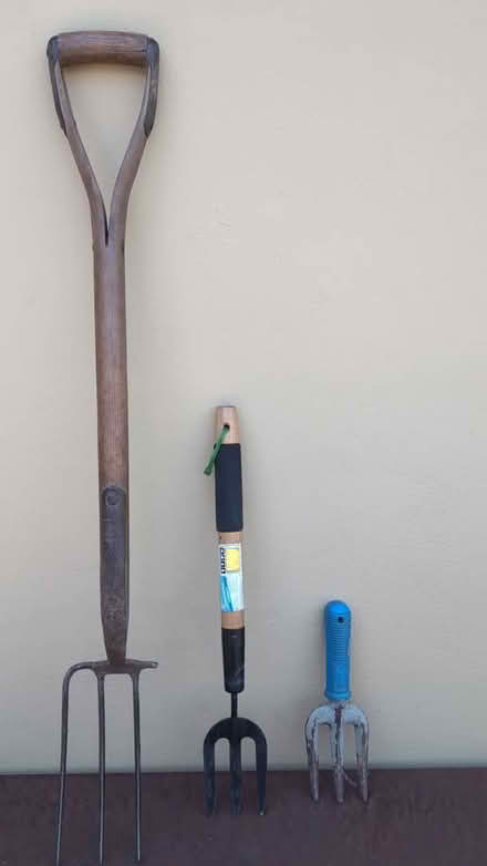 Photo of free 3 Garden Forks (Stroud) #1