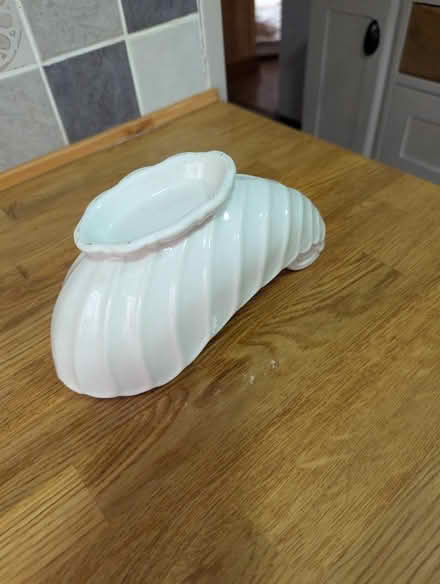Photo of free Shell ceramic pot (Grangeway area NN10) #3