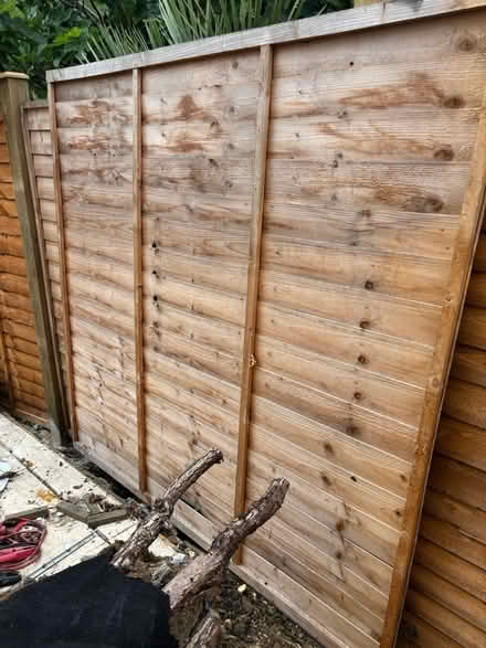 Photo of free Fence panel - just one (Chessington KT9) #3