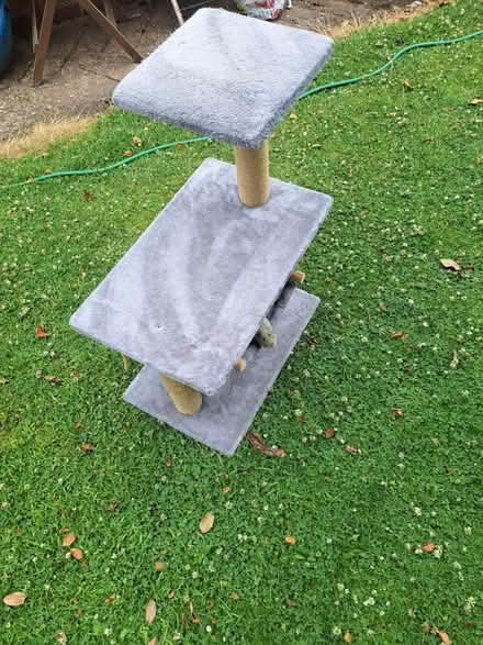 Photo of free Cat tower (Aston fields B60) #1