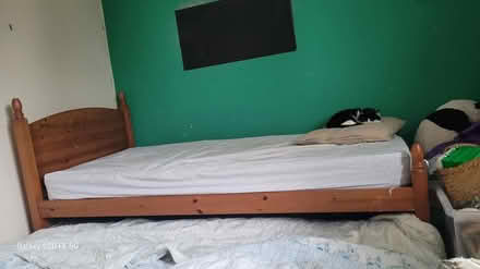 Photo of free Single bed frame and trundle frame (Wyman's Brook GL50) #2