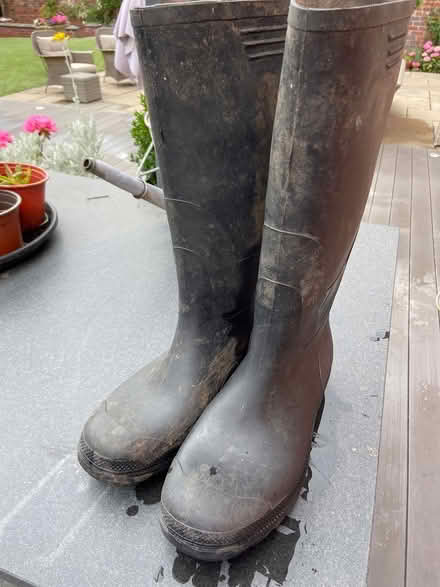 Photo of free size 10 men’s wellingtons (Stone staffordshire) #2