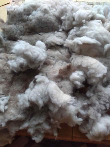 Photo of free stuffing for soft toys etc (Southbourne BH6) #1