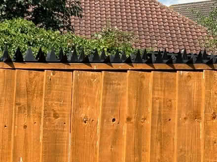 Photo of free Fence/Wall Spikes (ox4 7fr) #1