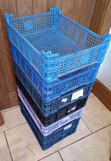 Photo of free 7 Plastic fruit/vegetable trays. (Burton-in-Kendal LA6) #1
