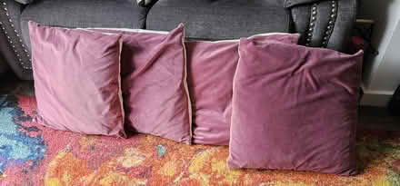 Photo of free 4 x large sofa cushions (Cranfield) #1