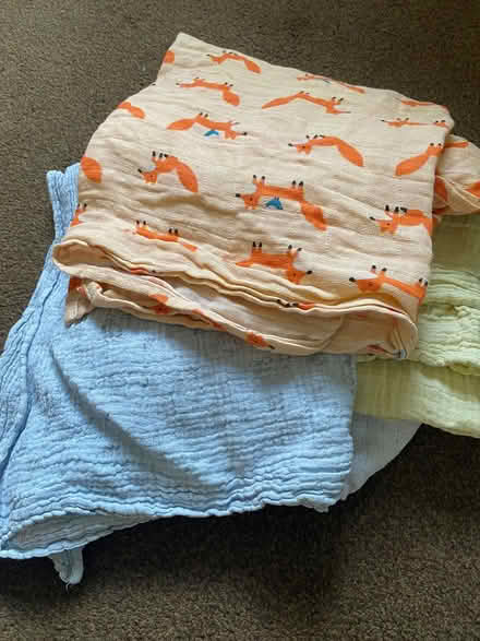 Photo of free 4 muslins (Crookes S10) #1