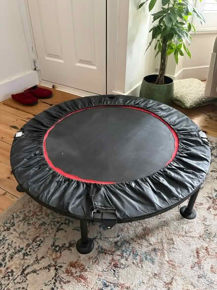 Photo of free Exercise trampoline (RG1) #1