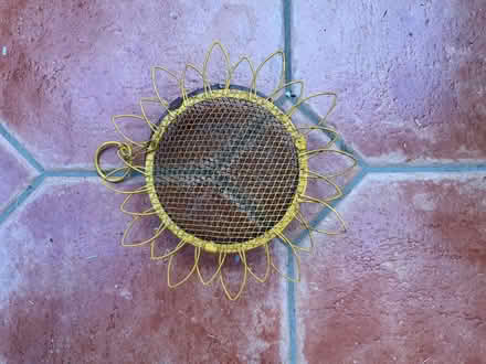 Photo of free Sunflower shaped Bird feeder (Surrey Heath GU15) #1