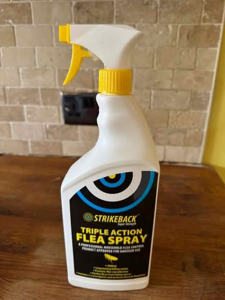 Photo of free Household Flea Spray (Worle BS22) #1