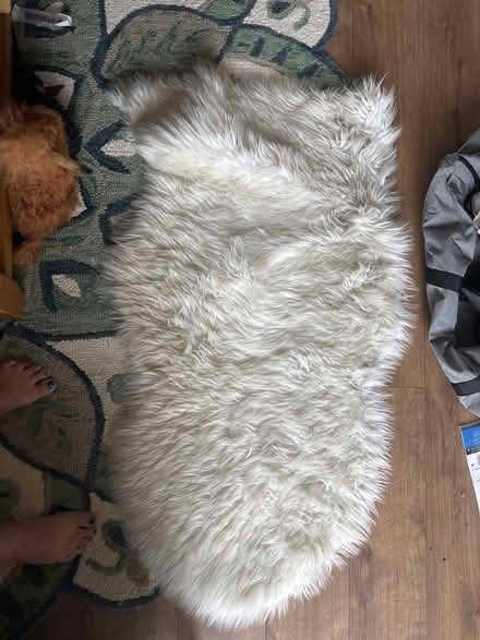 Photo of free 120cm faux sheepskin (Limehouse E1) #1