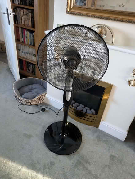 Photo of free 16" Challenge Pedestal Fan (Bedwell SG1) #1