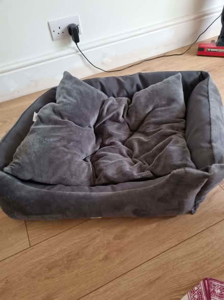 Photo of free Dogbed (Llandrindod LD1) #1