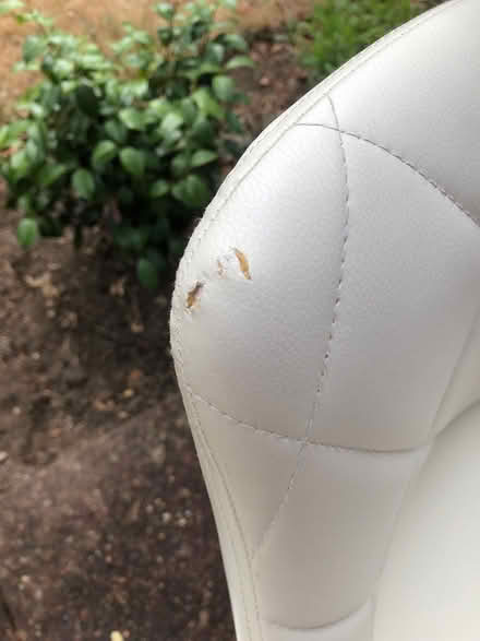 Photo of free 3 cream Bar Stools (KT15. Woodham.) #4