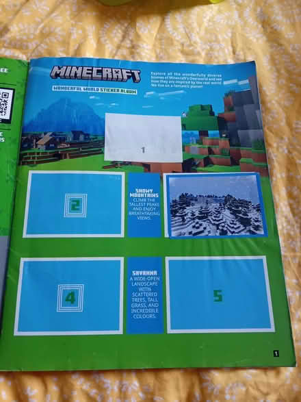 Photo of free Minecraft Sticker Album (Didsbury) #1