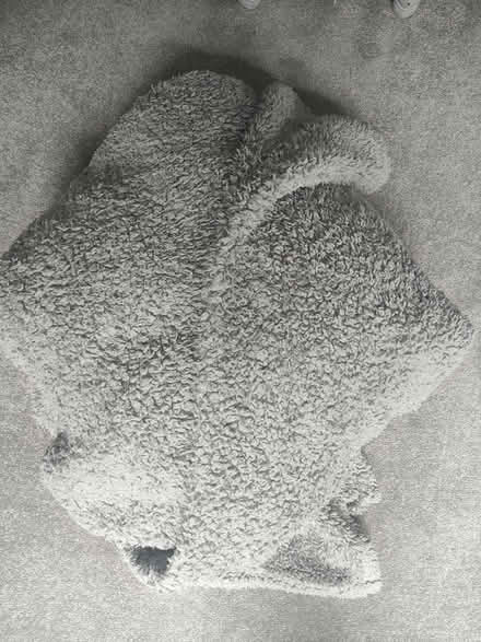 Photo of free Large fleece blanket (Melksham SN12) #1