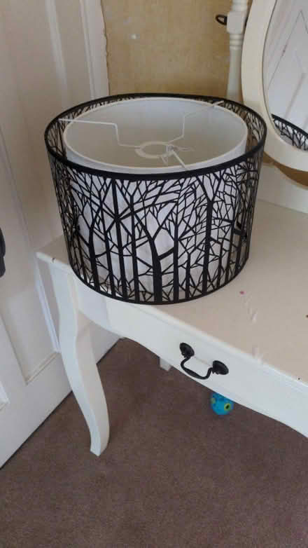 Photo of free Lampshade (BR1) #1
