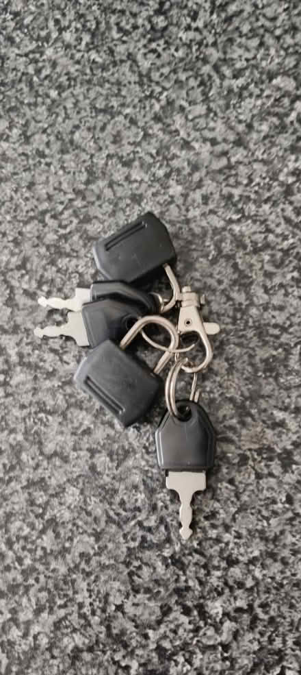 Photo of free Luggage padlocks and keys (Stockwell SW9) #1