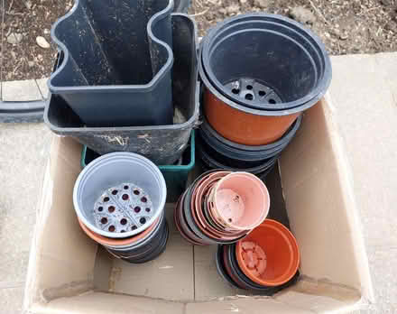 Photo of free Single and multi plant pots (St Helens TN35) #2
